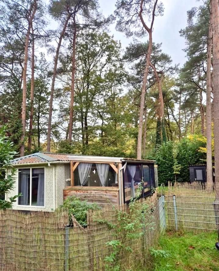 Cosy Chalet Veluwe With A Spacious Garden And Veranda Doornspijk Eksteriør billede